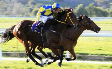 On The Money - Goodwood Sprint Day